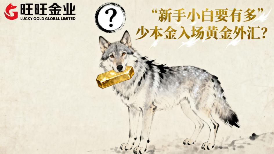新手小白要有多少本金入场黄金外汇？